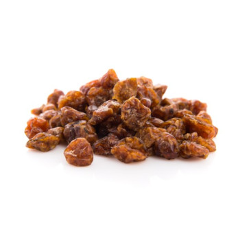 Γκόλντεν μπέρι Απόξ. | Εκουαδόρ