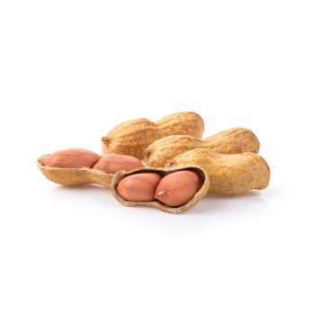 Φιστίκι Αράπικο με φλοιό | Φυσικό