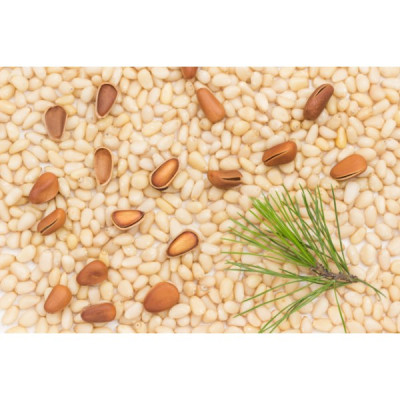 Κουκουνάρι "Καρποπωλείον" 185g