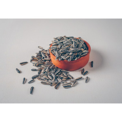 Ηλιόσπορος Αλατισμένος N.C. craft 100g