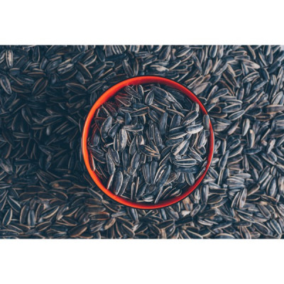 Ηλιόσπορος Ψημένος Χ. Αλάτι N.C. craft 110g